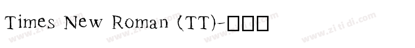 Times New Roman (TT)字体转换